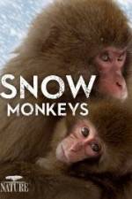 Watch Nature: Snow Monkeys Afdah