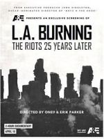 Watch L.A. Burning: The Riots 25 Years Later Afdah