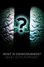 Watch What Is Consciousness? What Is Its Purpose? Afdah