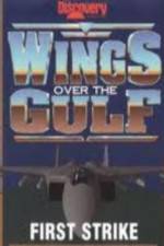 Watch Wings Over the Gulf Vol  1  First Strike Afdah