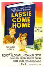 Watch Lassie Come Home Afdah