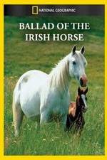 Watch Ballad of the Irish Horse Afdah