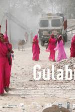 Watch Gulabi Gang Afdah