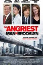 Watch The Angriest Man in Brooklyn Afdah