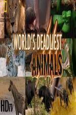 Watch National Geographic - Worlds Deadliest Animal Battles Afdah