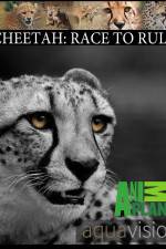 Watch Cheetah: Race to Rule Afdah