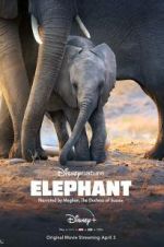 Watch Elephant Afdah