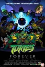 Watch Teenage Mutant Ninja Turtles Turtles Forever Afdah