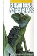 Watch Reptiles and Amphibians Afdah