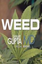 Watch CNN Weed Sanjay Gupta Report Afdah