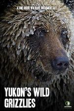 Watch Yukon\'s Wild Grizzlies Afdah
