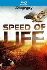 Watch Speed of Life Afdah