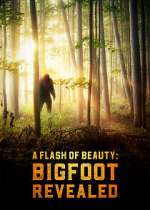 Watch A Flash of Beauty: Bigfoot Revealed Afdah