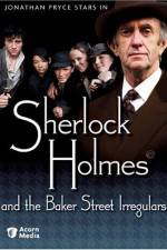 Watch Sherlock Holmes and the Baker Street Irregulars Afdah