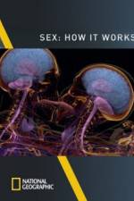 Watch Sex How It Works Afdah
