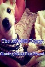 Watch The 60,000 Puppy: Cloning Man's Best Friend Afdah