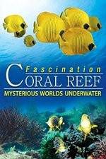 Watch Fascination Coral Reef: Mysterious Worlds Underwater Afdah