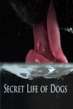 Watch Secret Life of Dog Afdah