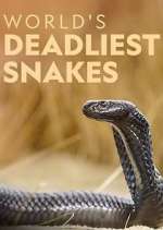 Watch World's Deadliest Snakes Afdah