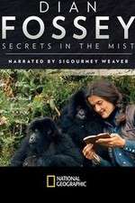Watch Dian Fossey: Secrets in the Mist Afdah