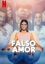 falso amor tv poster