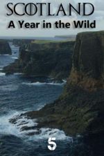 scotland: a wild year tv poster