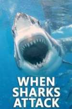 Watch When Sharks Attack Afdah