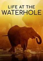 Watch Life at the Waterhole Afdah