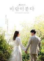 the wind blows tv poster