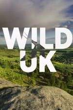 Watch Wild UK Afdah
