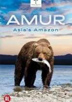 Watch Amur Asia's Amazon Afdah