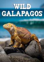 Watch Wild Galapagos Afdah