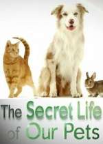 Watch The Secret Life of Our Pets Afdah