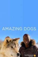 Watch Amazing Dogs Afdah
