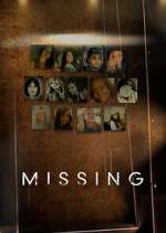 missing tv poster