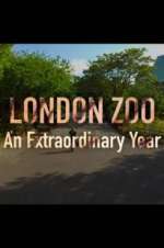 Watch London Zoo: An Extraordinary Year Afdah
