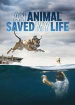 Watch An Animal Saved My Life Afdah