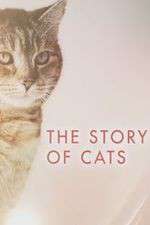 Watch The Story of Cats Afdah
