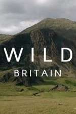 Watch Wild Britain Afdah