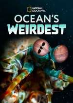 Watch Ocean's Weirdest Afdah