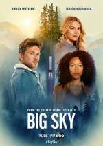 big sky tv poster
