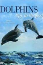 Watch Dolphins: Spy in the Pod Afdah