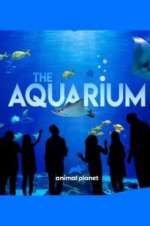 Watch The Aquarium Afdah