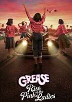 grease: rise of the pink ladies tv poster
