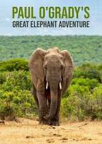 Watch Paul O'Grady's Great Elephant Adventure Afdah