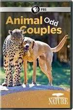 Watch Animal Odd Couples Afdah