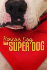 Watch Rescue Dog to Super Dog (US) Afdah
