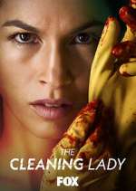 Watch The Cleaning Lady Afdah