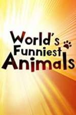 Watch The World\'s Funniest Animals Afdah