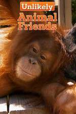 Watch Unlikely Animal Friends Afdah